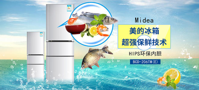 HochschuleAnhalt金融文凭证书